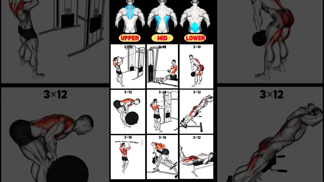 Gym Blog